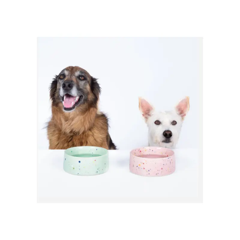 6.5" Speckled Ceramic Pet Bowl by Egg Back Home