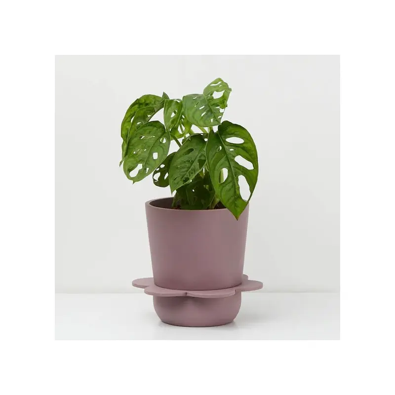 Spring Pot by Capra Design