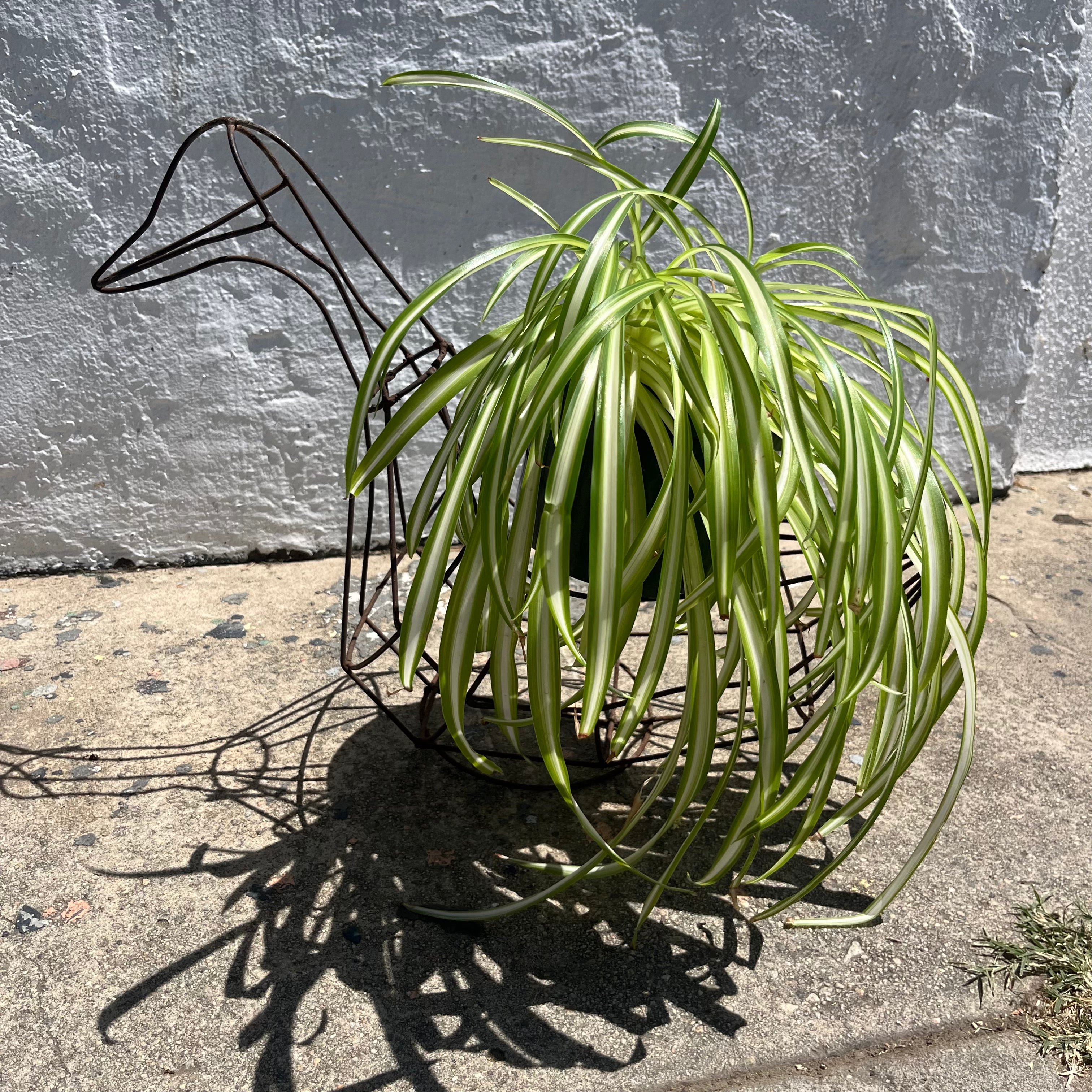 Vintage Wire Frame Duck Planter