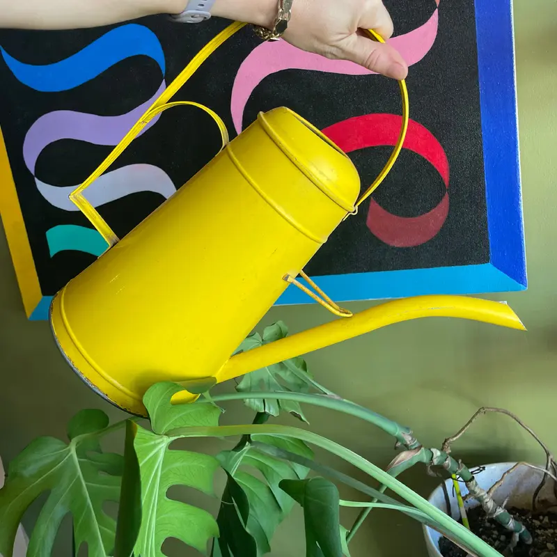 Vintage Industrial Watering Can