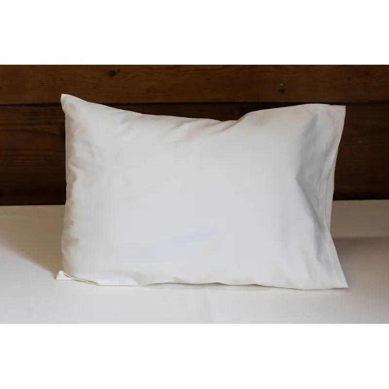 All-Natural Travel Pillow