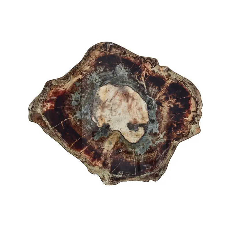 Fossil Placemat in Brown & Multi Set of 4 by Kim Seybert