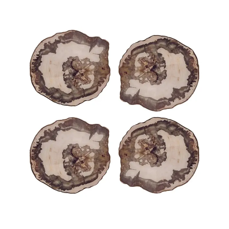 Petrified Wood Drink Coasters in Multi Set of 4 in a Gift Box by Kim Seybert