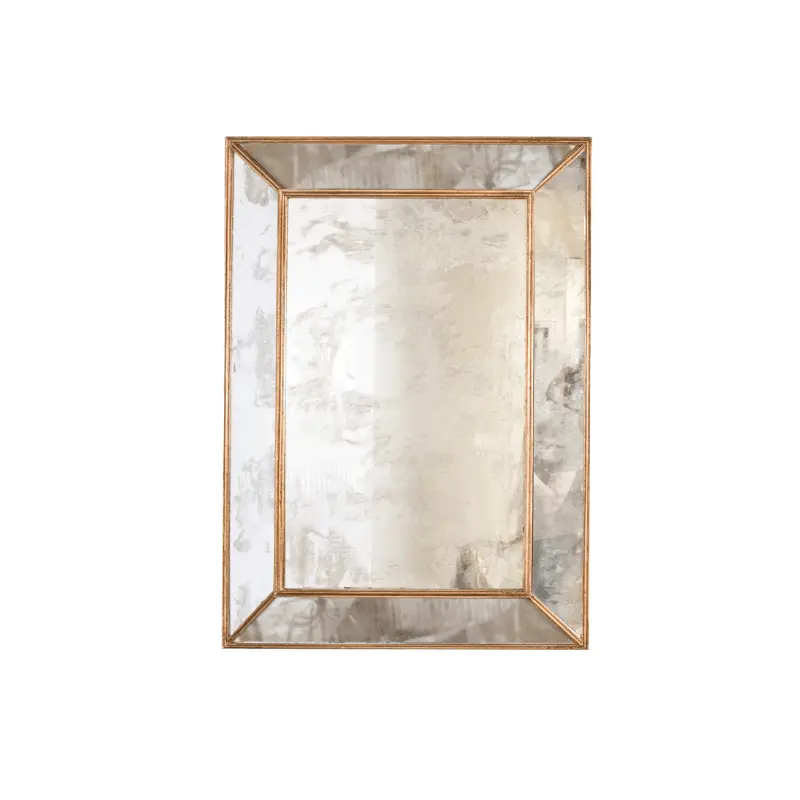 Dion Antique & Gold Leaf Mirror by Worlds Away