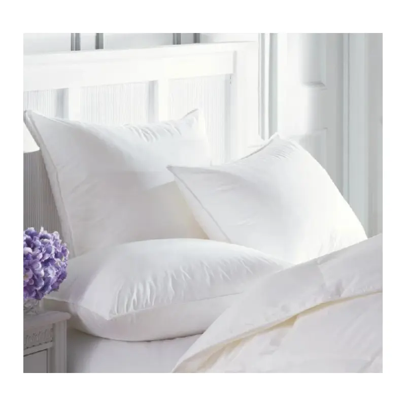 Intera Firmasoft White Goose Down Pillow by Downright