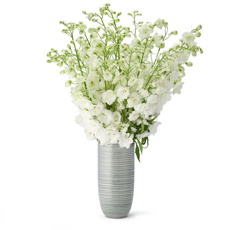 Calinda Tall Vase in Shadow by AERIN